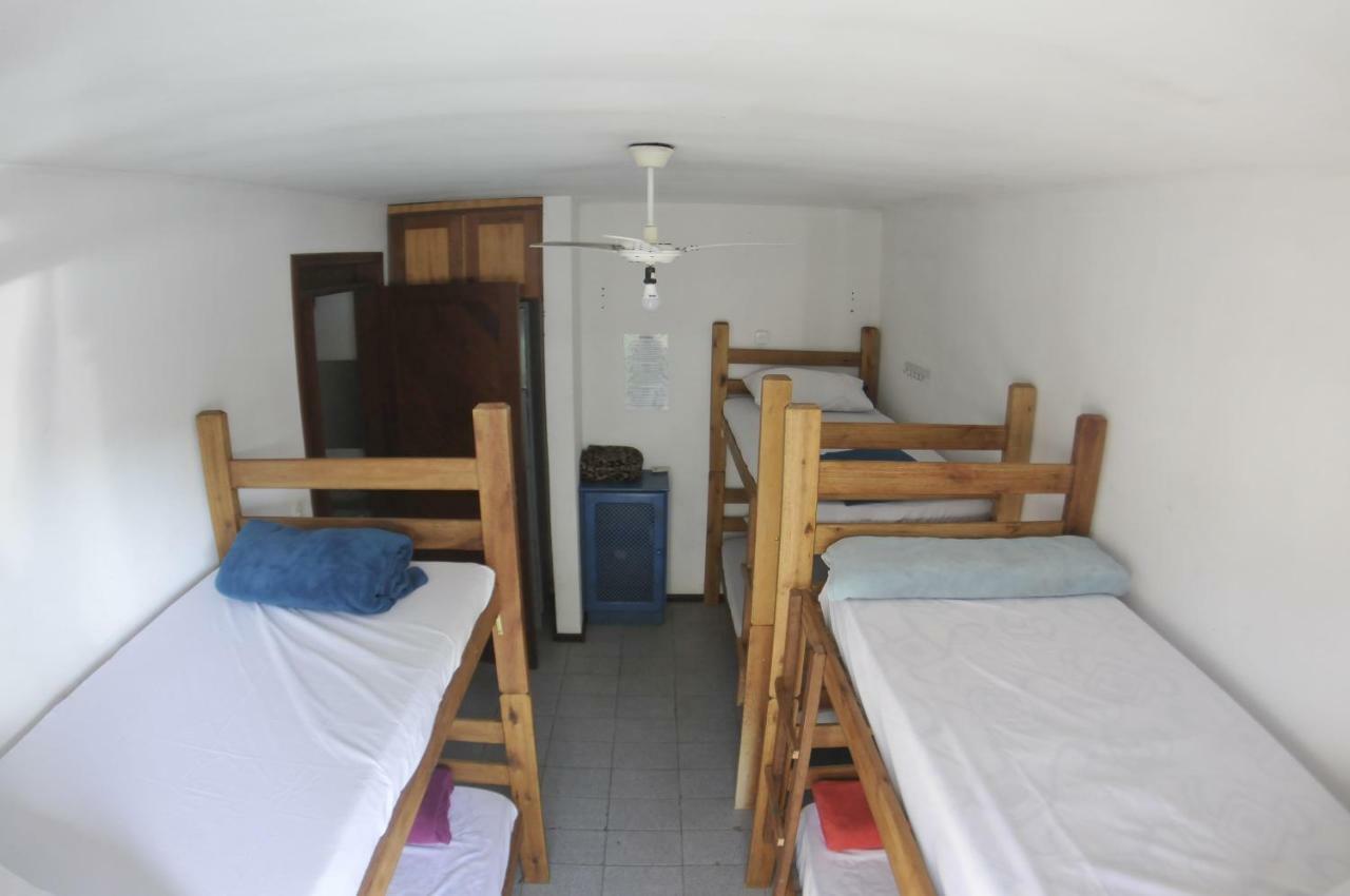 Gokai Hostel Florianopolis Ngoại thất bức ảnh